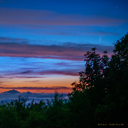 <font class="tempImageTitleThumbText">Comet NEOWISE Above Trees, Mountains  And</font><br>Todd Bush<br>Jul 7 5:38pm<br>Banner ELk, NC USA