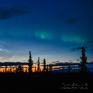 <font class="tempImageTitleThumbText">Aurora Kickoff</font><br>Todd Salat<br>Aug 7 2:49pm<br>Glennallen, Alaska