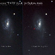 <font class="tempImageTitleThumbText">Supernova SN2016cok In M66</font><br>Tom Harradine<br>May 29 1:44pm<br>Brisbane, Australia