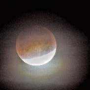 <font class="tempImageTitleThumbText">Lunar Eclipse</font><br>Tom Soetaert <br>Jan 31 6:27pm<br>Kansas City, Mo.