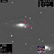 <font class="tempImageTitleThumbText">Supernova 2026aaic In Galaxy NGC7331</font><br>Tom Wildoner<br>Oct 18 5:04pm<br>Weatherly, PA, USA