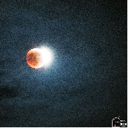 <font class="tempImageTitleThumbText">Lunar Eclipse - May 15, 2022</font><br>Tom Wildoner<br>May 16 11:44am<br>Weatherly, PA, USA