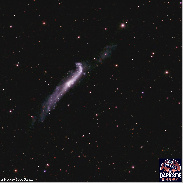 <font class="tempImageTitleThumbText">NGC 4656 - The Crowbar Or Hockey Stick Ga</font><br>Tom Wildoner<br>Sep 21 12:19pm<br>Weatherly, PA, USA