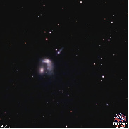 <font class="tempImageTitleThumbText">The Penguin Galaxy NGC2936 (Arp 142)</font><br>Tom Wildoner<br>Jun 28 12:26pm<br>Weatherly, PA, USA