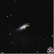 <font class="tempImageTitleThumbText">Supernova 2026kie In Galaxy NGC3437</font><br>Tom Wildoner<br>Jun 4 1:55pm<br>Weatherly, PA, USA
