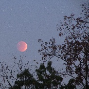 <font class="tempImageTitleThumbText">Lunar Eclipse</font><br>Tom Wolfgang<br>Oct 8 4:39pm<br>Wellsville, PA