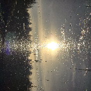 <font class="tempImageTitleThumbText">Pine Pollen Corona And Aspen Seed Pillars</font><br>Tomasz Adam<br>May 18 6:43pm<br>świętokrzyskie voivodeship, P
