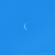 <font class="tempImageTitleThumbText">Daytime Lunar Occultation Of Venus</font><br>Tomasz Golombek<br>Jun 19 8:19pm<br>Tczew, Poland