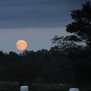 <font class="tempImageTitleThumbText">Strawberry Moon Lunar Eclipse</font><br>Tony Dermendziev<br>Jun 5 10:34pm<br>Småland region in Sweden 