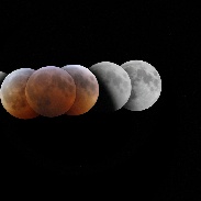 <font class="tempImageTitleThumbText">Lunar Eclipse 2019</font><br>Tony Licata<br>Jan 22 1:31am<br>Novi Michigan