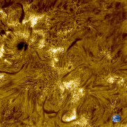 <font class="tempImageTitleThumbText">Solar Chromosphere In High Resolution</font><br>Tosi Philippe<br>Jun 23 5:12pm<br>FRANCE-Nîmes