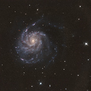 <font class="tempImageTitleThumbText">M101 Supernova</font><br>Tosi Philippe<br>May 28 5:02pm<br>FRANCE - Nîmes
