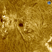 <font class="tempImageTitleThumbText">Solar Chromosphere In High Resolution</font><br>Tosi Philippe<br>Jun 26 2:45pm<br>FRANCE-Nîmes