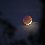 <font class="tempImageTitleThumbText">Total Lunar Eclipse 16th Of May</font><br>Tosi Philippe<br>May 16 8:27am<br>FRANCE - Nîmes