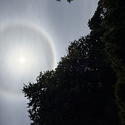 <font class="tempImageTitleThumbText">Halo Around Sun</font><br>Tracy Strong<br>Jun 24 11:18pm<br>Seattle, Washington USA