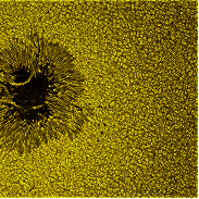 <font class="tempImageTitleThumbText">AR 4482 Improved Processing</font><br>Tulio Roberto Xavier de Aguiar<br>Jul 26 9:53pm<br>Belo Horizonte, Brasil