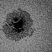 <font class="tempImageTitleThumbText">Sunspot AR 4482</font><br>Tulio Roberto Xavier de Aguiar<br>Jul 13 2:58am<br>Belo Horizonte, Brasil