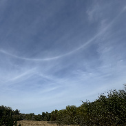 <font class="tempImageTitleThumbText">Parhelic Circle With Attending 120-Degree</font><br>Tyler Tate, P.E.<br>Oct 10 5:43pm<br>Cockeysville, MD