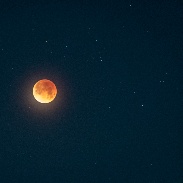 <font class="tempImageTitleThumbText">Lunar Eclipse Of The Blue Moon</font><br>tony perreira<br>Jan 31 2:06pm<br>Reno, Nevada