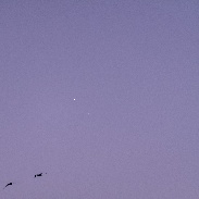 <font class="tempImageTitleThumbText">Venus & Jupiter</font><br>tony perreira<br>Aug 28 3:26am<br>Reno, Nevada