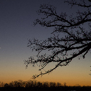 <font class="tempImageTitleThumbText">Conjunction Of Venus And Jupiter</font><br>Val Germann<br>Nov 25 10:00pm<br>Columbia, Missouri, USA
