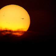 <font class="tempImageTitleThumbText">Sunspot 4446</font><br>VegaStarPhotography<br>May 27 4:36am<br>Epernay, MARNE, FRANCE