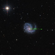 <font class="tempImageTitleThumbText">Probable Supernova PSN J12184868+1424435 </font><br>Velimir Popov & Emil Ivanov<br>Jan 30 11:40am<br>IRIDA Observatory, Bulgaria