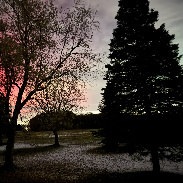 <font class="tempImageTitleThumbText">Aurora </font><br>Vernon Patton<br>Nov 12 2:41am<br>Monroe, Mi