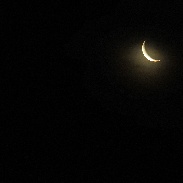 <font class="tempImageTitleThumbText">Our Moon And Venus In Conjunction</font><br>Victor C. Rogus (FRAS)<br>Mar 2 1:27pm<br>Sedona, Arizona