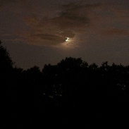 <font class="tempImageTitleThumbText">5% Moon And Planet, Venus</font><br>Victor C. Rogus (FRAS)<br>Jun 16 7:45pm<br>Arcadia Florida, USA