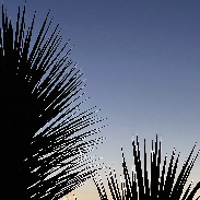 <font class="tempImageTitleThumbText">Venus Jupiter Conjunction </font><br>Vince Clements<br>Aug 12 6:55pm<br>Mesquite NV
