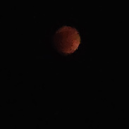 <font class="tempImageTitleThumbText">Lunar Eclipse</font><br>W M Hollyoak<br>Sep 7 10:20pm<br>Bwerenga, Uganda