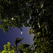 <font class="tempImageTitleThumbText">Conjunction Between Moon And Venus</font><br>Walter Riva<br>Jun 17 10:57pm<br>Righi Astronomical Observatory,