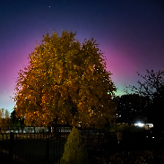 <font class="tempImageTitleThumbText">Aurora</font><br>Warren Spreng<br>Nov 12 2:28am<br>Mason, OH