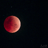 <font class="tempImageTitleThumbText">Lunar Eclipse</font><br>Wayne Jaeschke<br>May 16 4:57am<br>West Chester, PA, USA