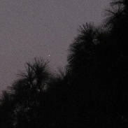 <font class="tempImageTitleThumbText">Venus In The Pines</font><br>Wayne Wooten<br>Mar 18 12:46am<br>Pensacola State College, Pensac