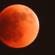 <font class="tempImageTitleThumbText">Lunar Eclipse</font><br>William Collins<br>May 16 4:07am<br>New Orleans,La, USA