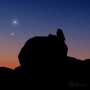 <font class="tempImageTitleThumbText">Venus, Mercury, And ... An Owl !</font><br>Yuri Beletsky<br>Jan 12 5:03am<br>Chile

