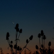 <font class="tempImageTitleThumbText">Venus And Jupiter Conjunction</font><br>zlatko<br>Aug 18 11:29pm<br>Pula-Croazia